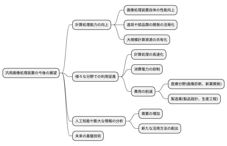今後の展望