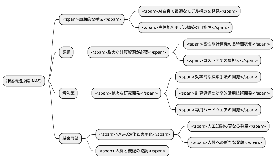 ＮＡＳの課題と展望