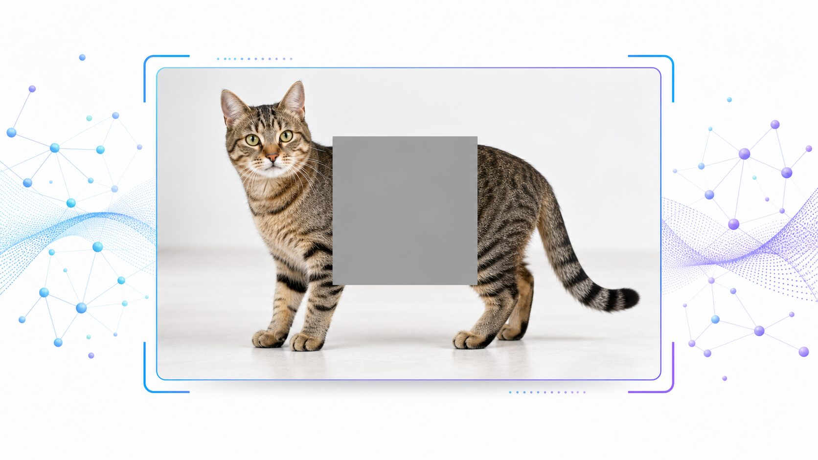 猫の画像の一部を四角いマスクで隠すCutoutの概念図